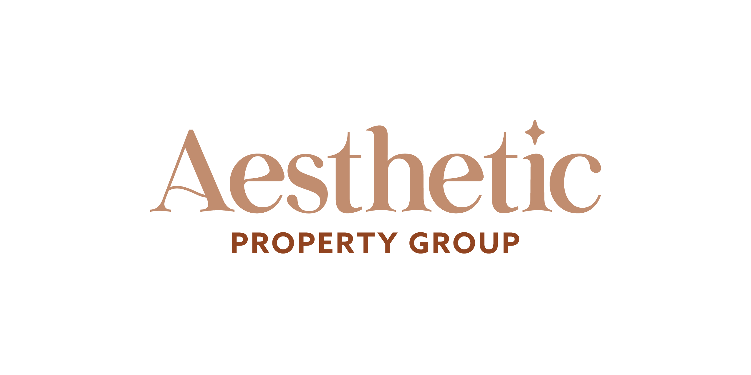 Aesthetic Property Group brand logo